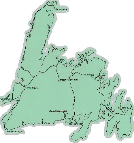 NLFD MAP